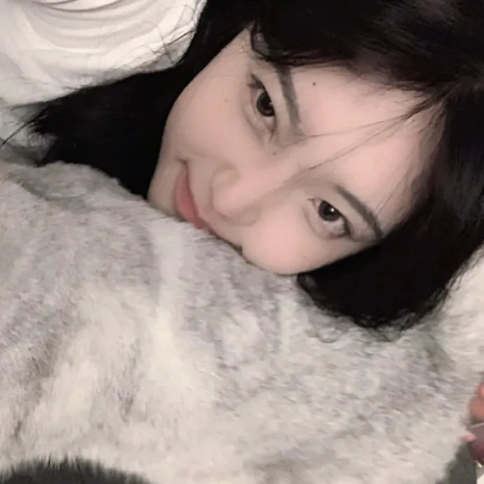 糊涂舰长