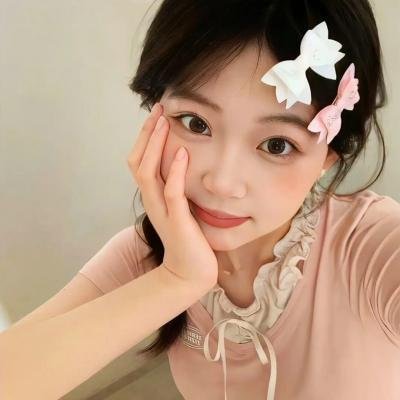 空中的飞鸟